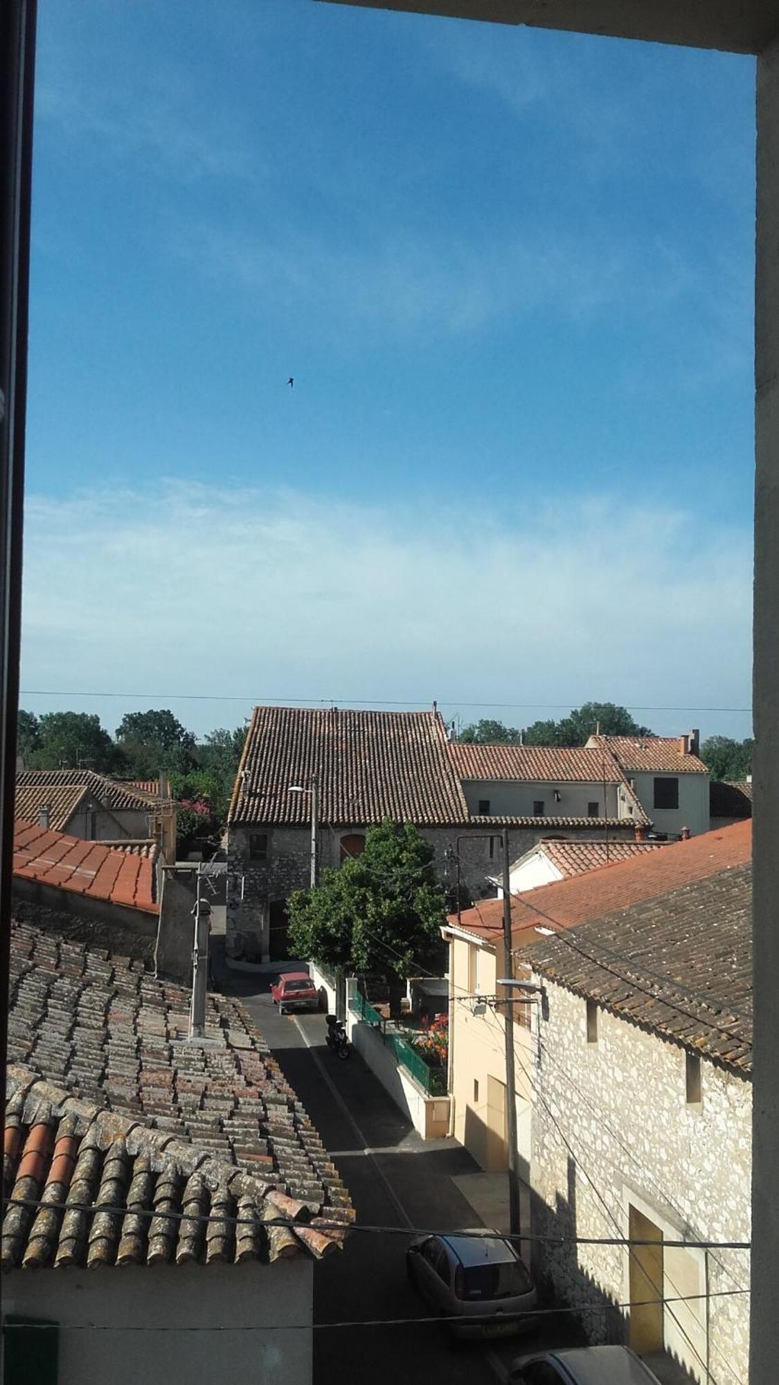 Maison Pelissier Bed And Breakfast With Sweeming Pool Cuxac-dʼAude Buitenkant foto